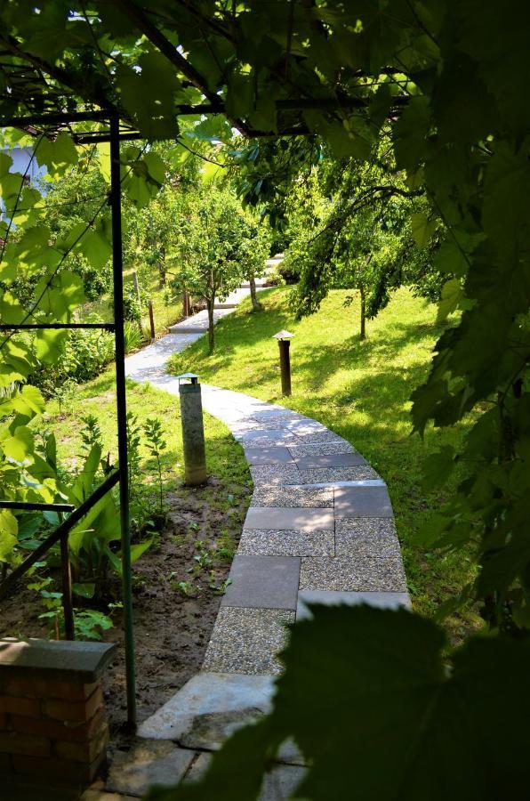 Ferienwohnung Vinarstvi Koliba Cejkovice  Exterior foto