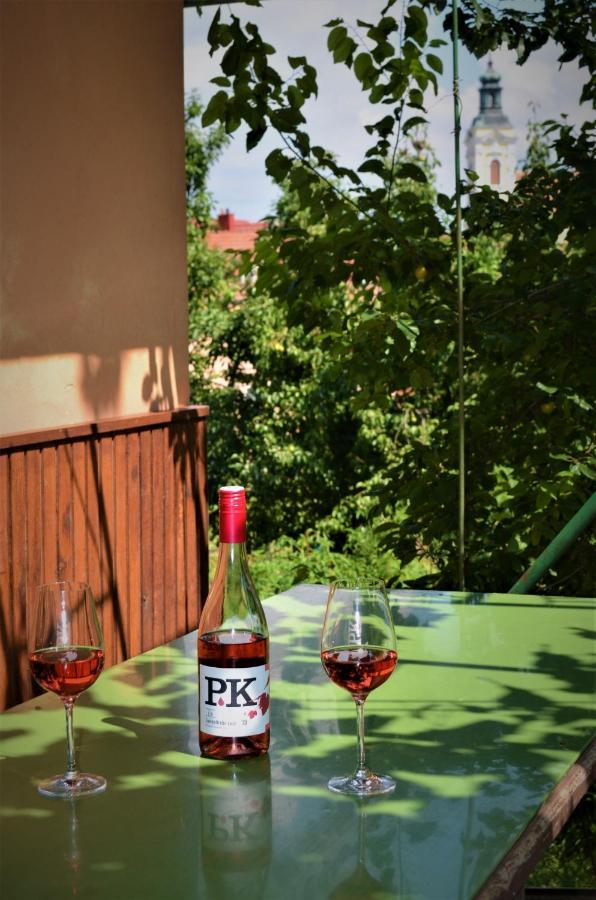 Ferienwohnung Vinarstvi Koliba Cejkovice  Exterior foto